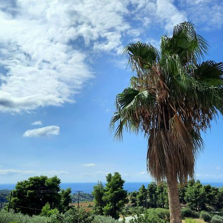 House With View Villa อาเกีย ปาราสเควิ ภายนอก รูปภาพ