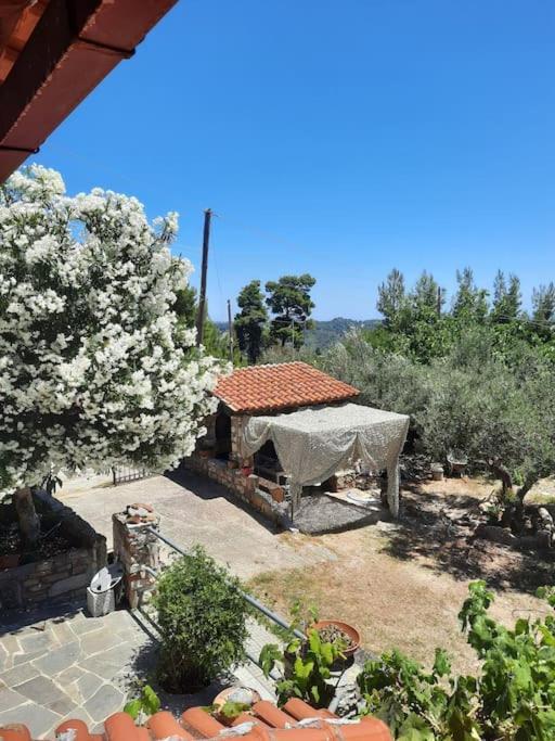 House With View Villa อาเกีย ปาราสเควิ ภายนอก รูปภาพ