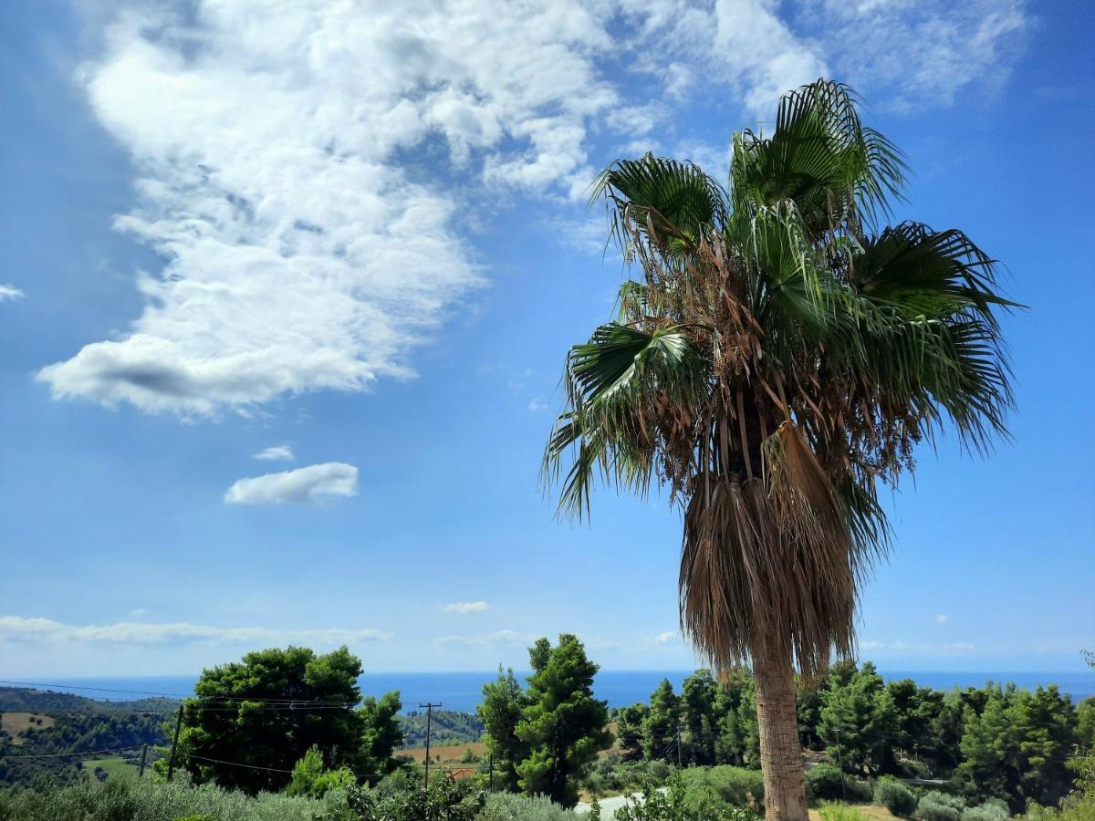 House With View Villa อาเกีย ปาราสเควิ ภายนอก รูปภาพ